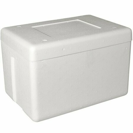 PLASTILITE Insulated Foam Cooler 19 1/2'' x 12 1/2'' x 12 1/2'' - 1 1/2'' Thick 451PC50PLT